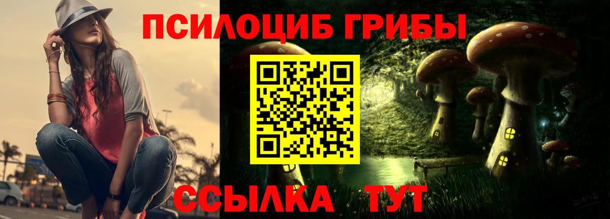 Заводоуковск  Псилоцибиновые грибы ЛСД  Вход с VPN 