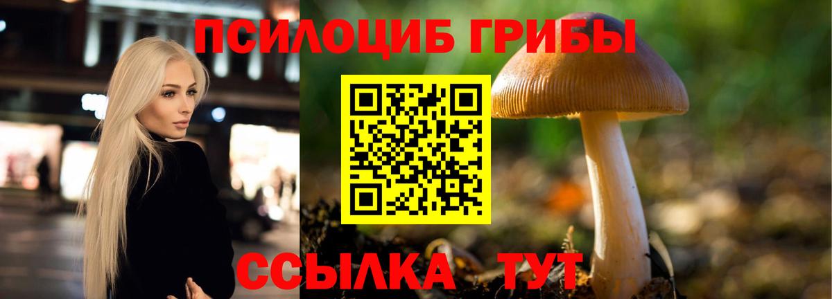 Псилоцибиновые грибы прущие грибы Заводоуковск
