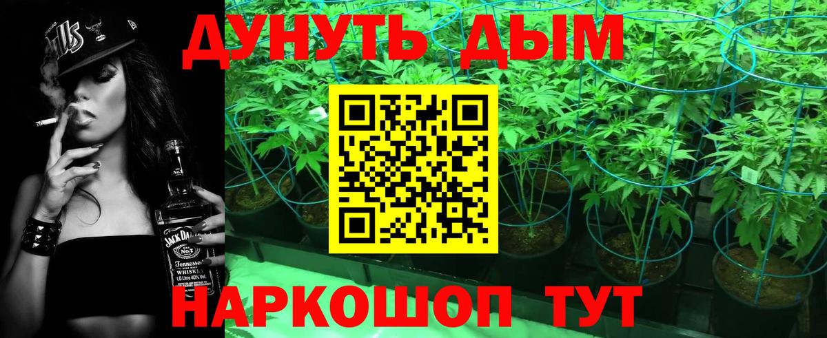 Шишки марихуана THC 21%  Конопля конопля  Заводоуковск  Вход с VPN  Каннабис семена 